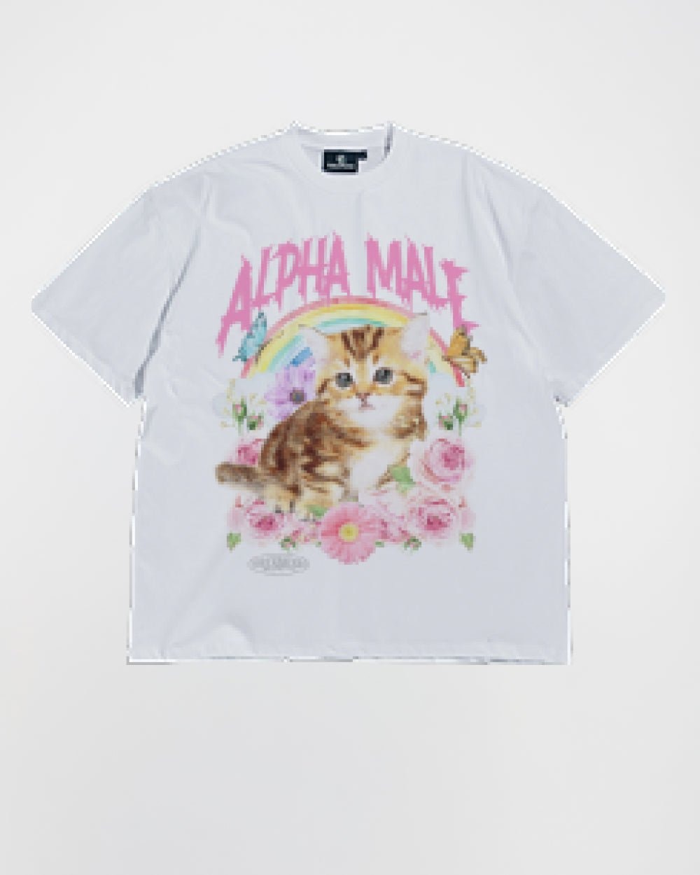 Alpha Male Oversized Graphic Tee Unisex 90s Boxy Fit 100% Combed Cotton